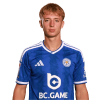 Player cutout
