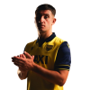 Player cutout
