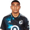 Player cutout