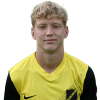Player cutout