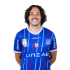 Player cutout