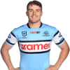 Player cutout