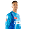 Player cutout