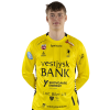 Player cutout