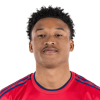 Player cutout
