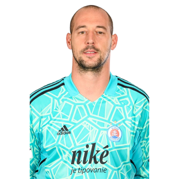Milan Borjan profile image