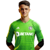 Player cutout