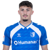 Player cutout