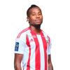Player cutout