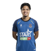 Player cutout