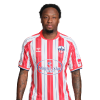 Player cutout