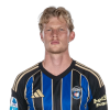 Player cutout