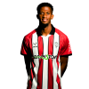 Player cutout