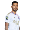 Player cutout