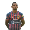 Player cutout