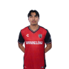 Player cutout