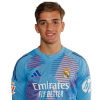 Player cutout