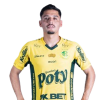 Player cutout