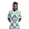 Player cutout