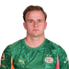 Player cutout