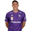 Player cutout