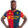 Player cutout