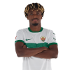 Player cutout