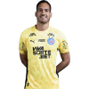 Player cutout