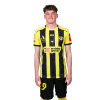 Player cutout