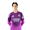 Player cutout