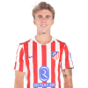 Player cutout