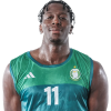 Player cutout