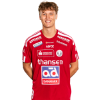 Player cutout