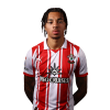 Player cutout