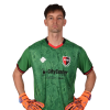 Player cutout