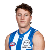 Player cutout