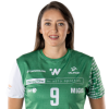 Player cutout