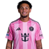 Player cutout