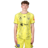 Player cutout