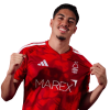 Player cutout