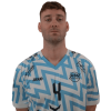 Player cutout