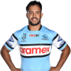 Player cutout
