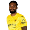 Player cutout