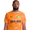 Player cutout