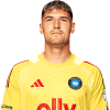 Player cutout