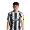 Player cutout