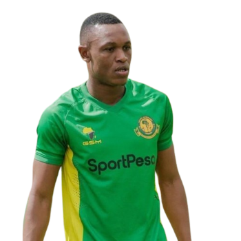 Bakari Mwamnyeto profile image