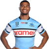 Player cutout