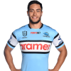 Player cutout