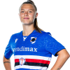 Player cutout